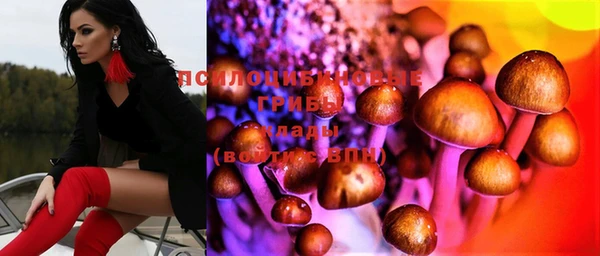 меф Алексин