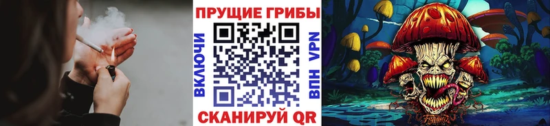 Псилоцибиновые грибы Psilocybe  Ковылкино 
