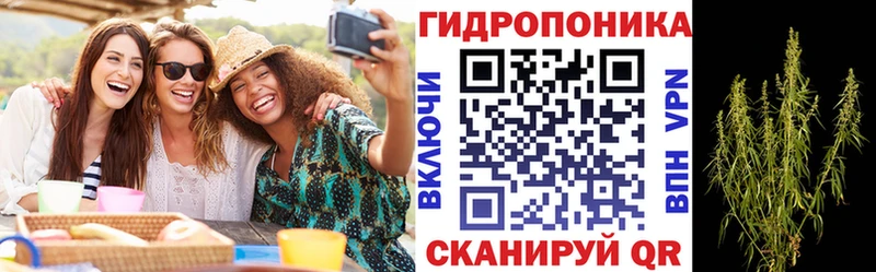 купить  сайты  мега зеркало  Каннабис OG Kush  Ковылкино 